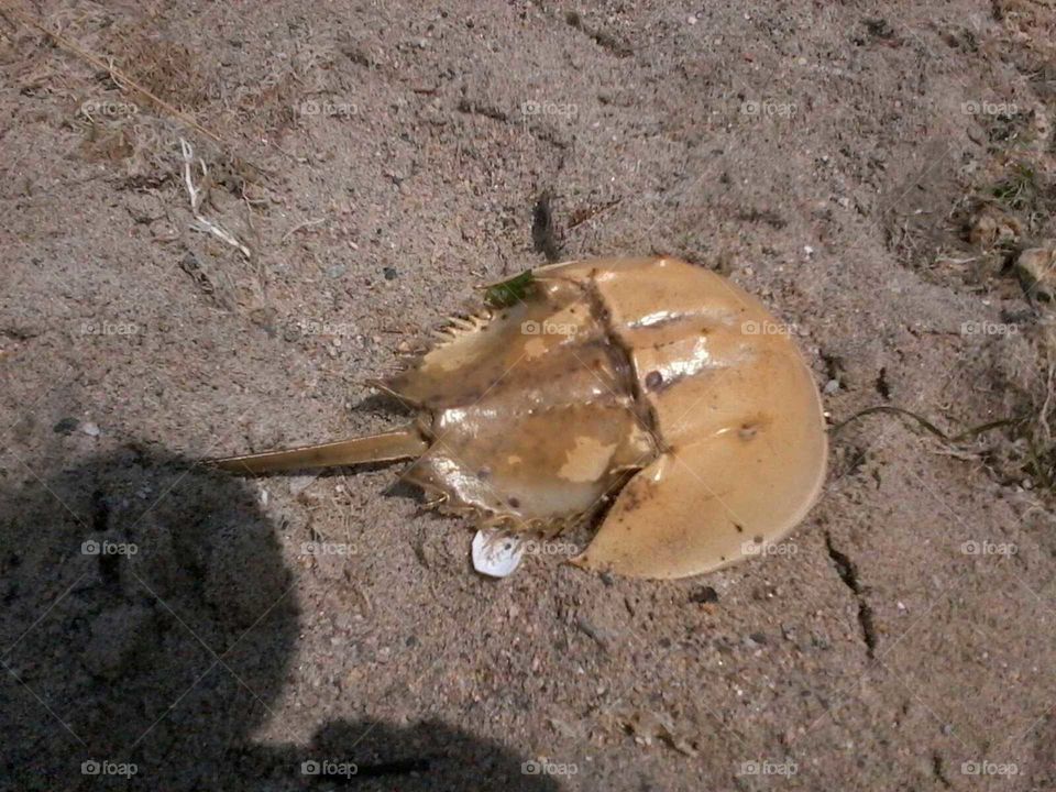 beach fun