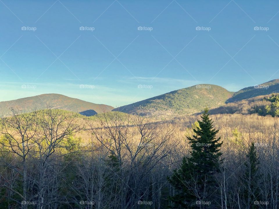 Nature landscape of the hills and valleys on Cadillac Mountain at Golden Hour, at Acadia National Park in Bar Harbor, Maine USA 