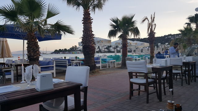 Beach Turkey
