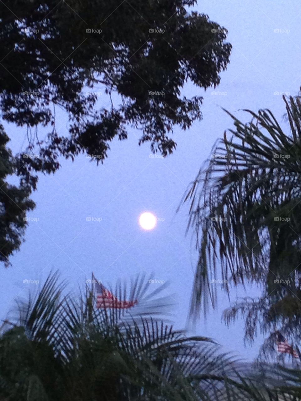 Moonrise in florida