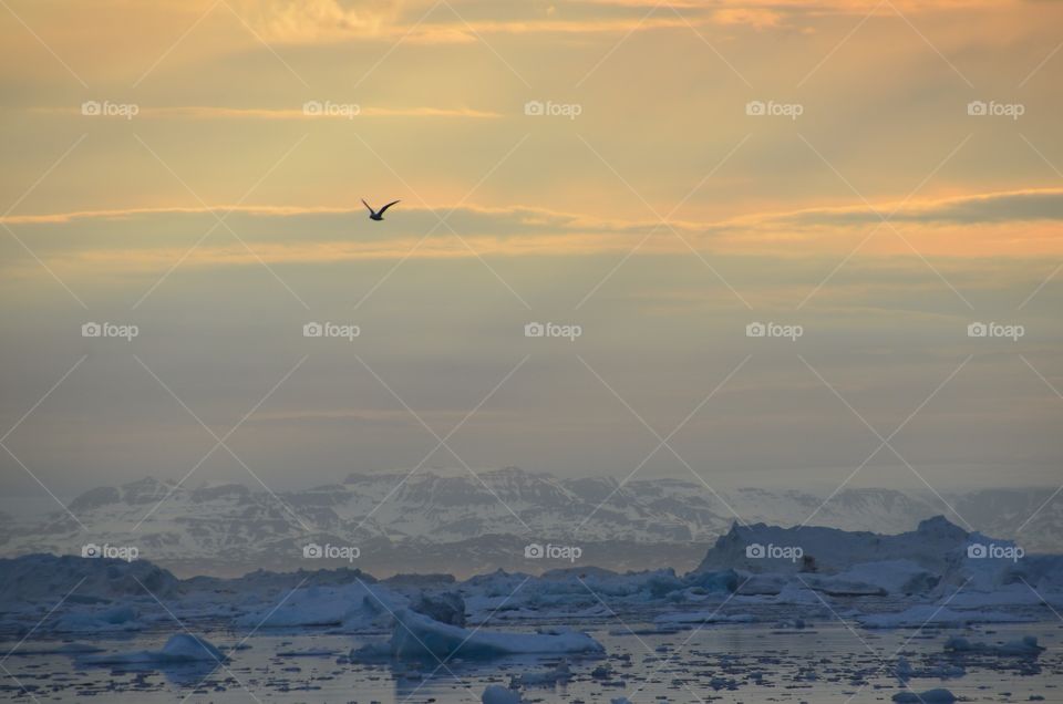 Midnight Sun Sailing Greenland