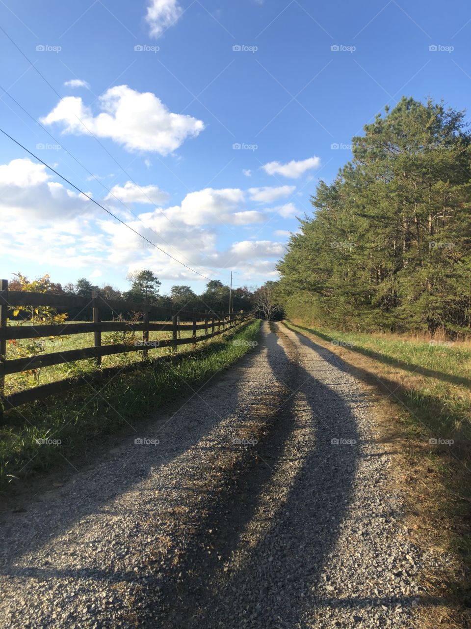 Curving gravel road fence shadows on farm