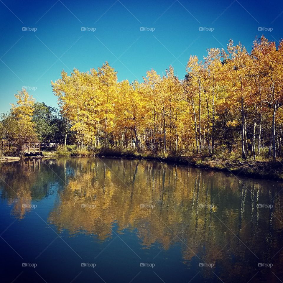 Beautiful Fall Pond