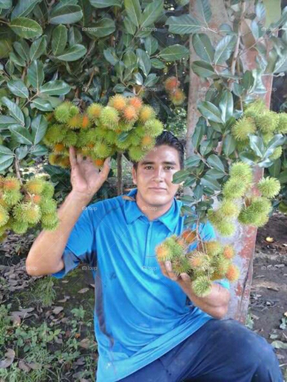 fruta de Ranbutan