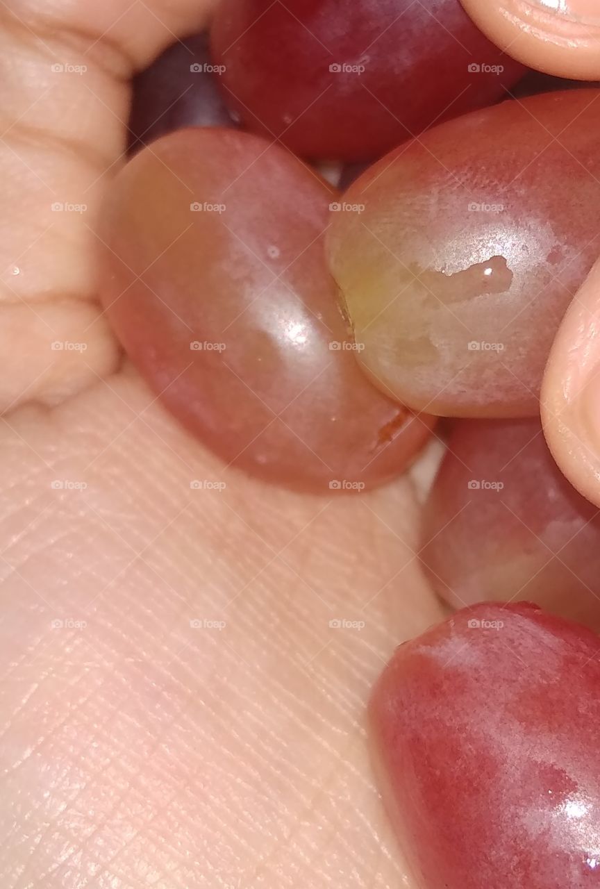 grapes at hand.
