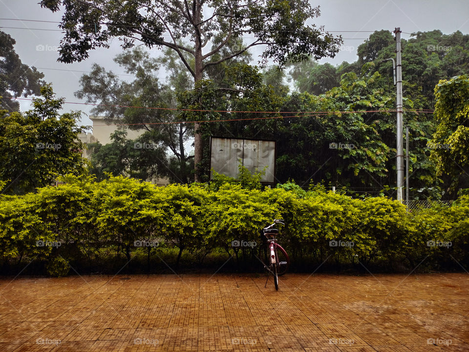 Standing over the corner of my University looking at the cycle she was so lonely so I thought why not make her happy in the rain.