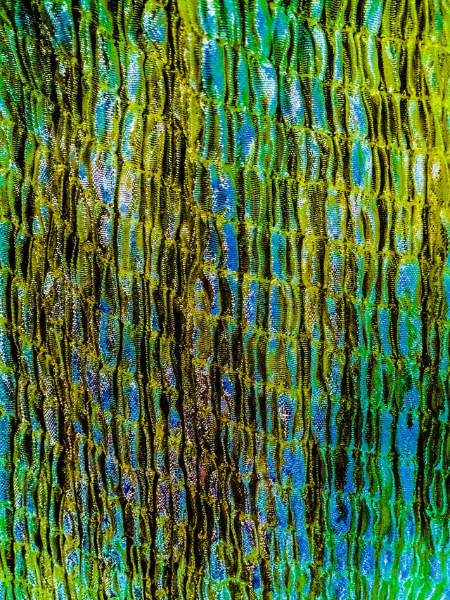 My scarf 