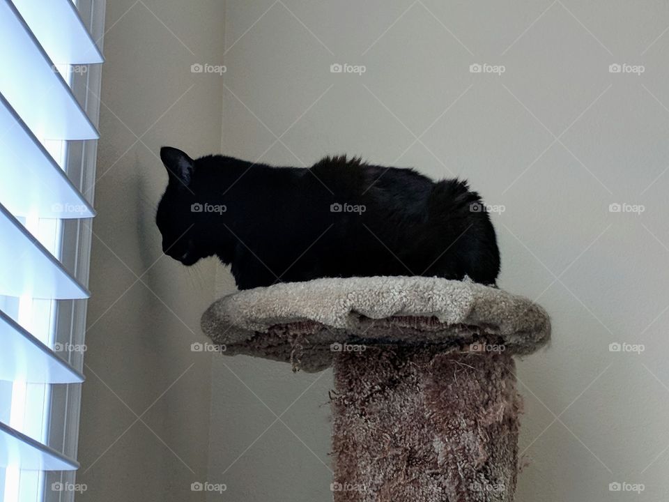 Definitely today's mood