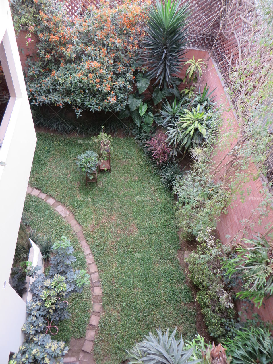 Peruvian Garden