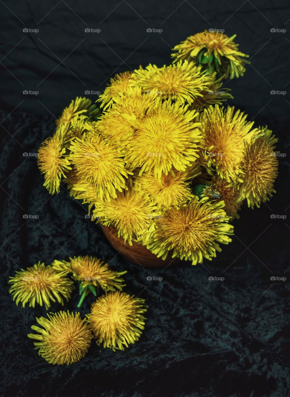 still life of yellow dandelions on a dark background