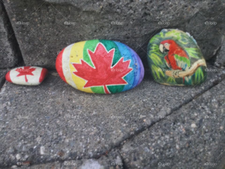 Three Rocks that have been painted, one with the Canadian flag, one with the maple leaf and the pride rainbow, and the othe with a parrot 🦜