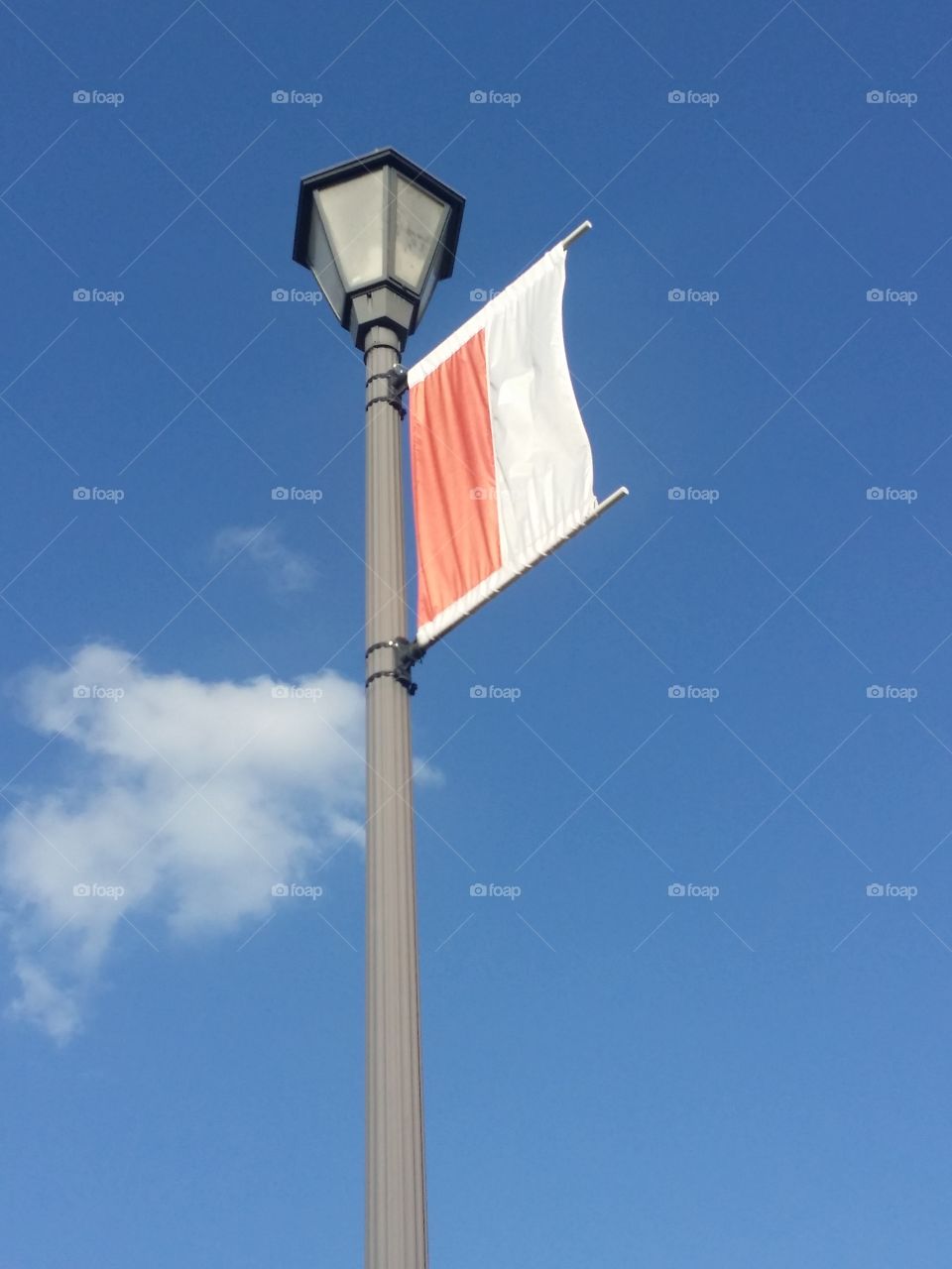 decorative Flags in a corporate campus