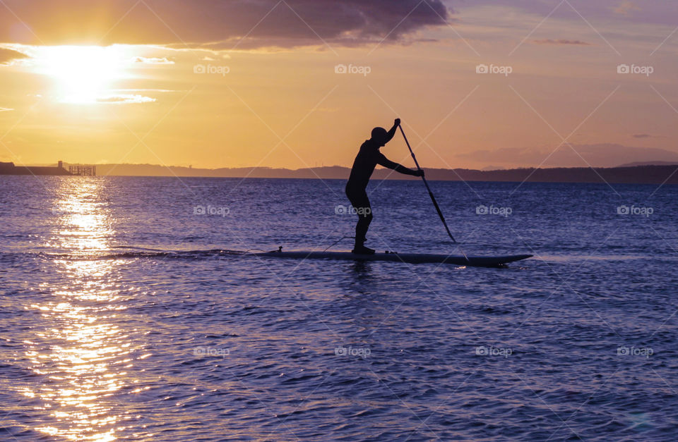 Paddle Surfer. Firth of Forth