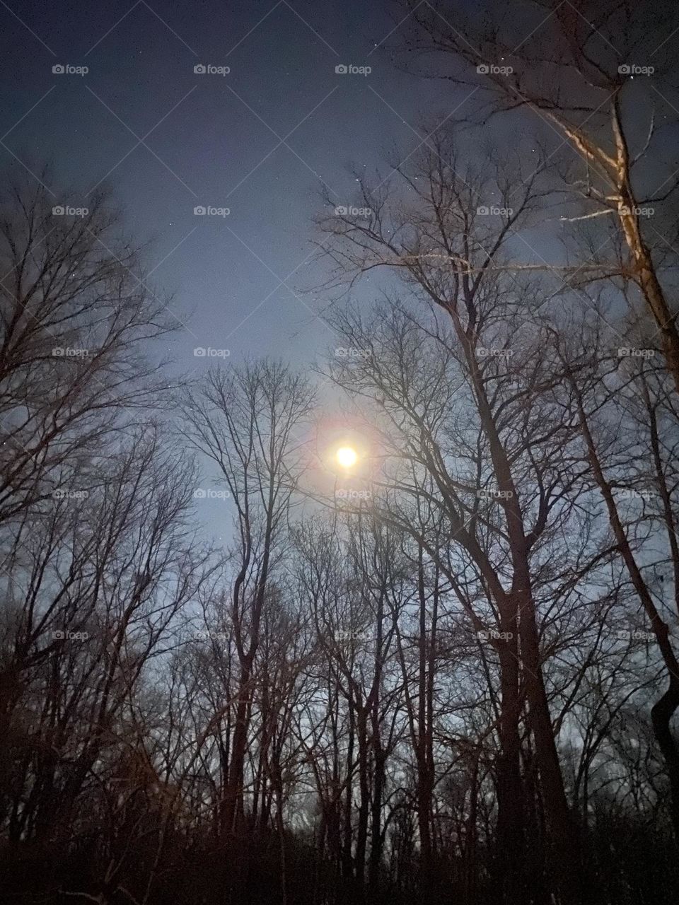 Wold moon over the Chesapeake bay 