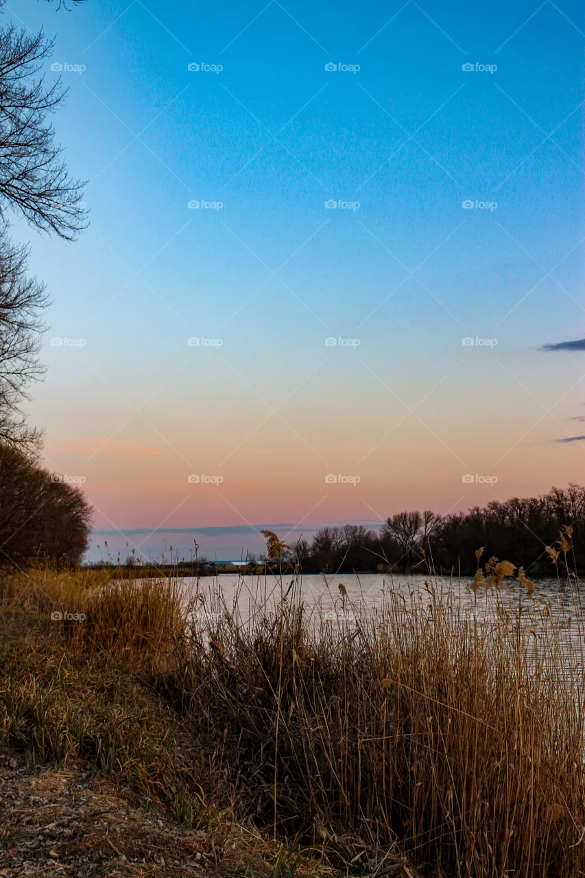 Nature