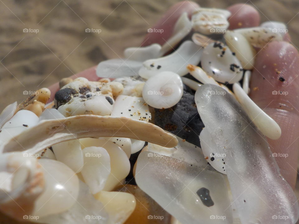 Sandy ocean treasures 