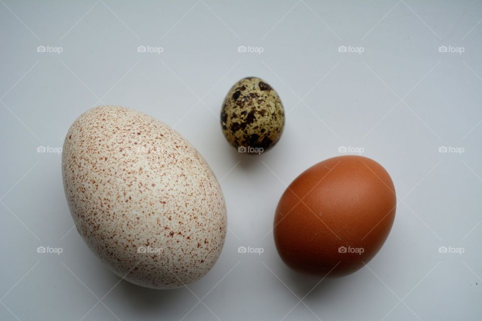 eggs shapes on a white isolated top view