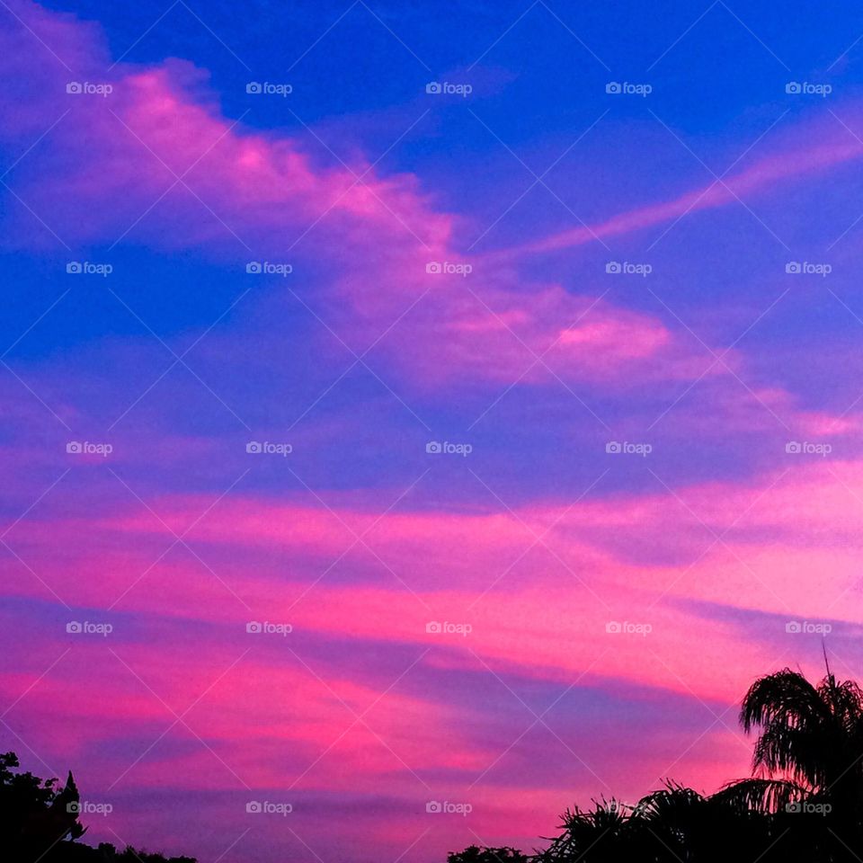 Pink clouds 
