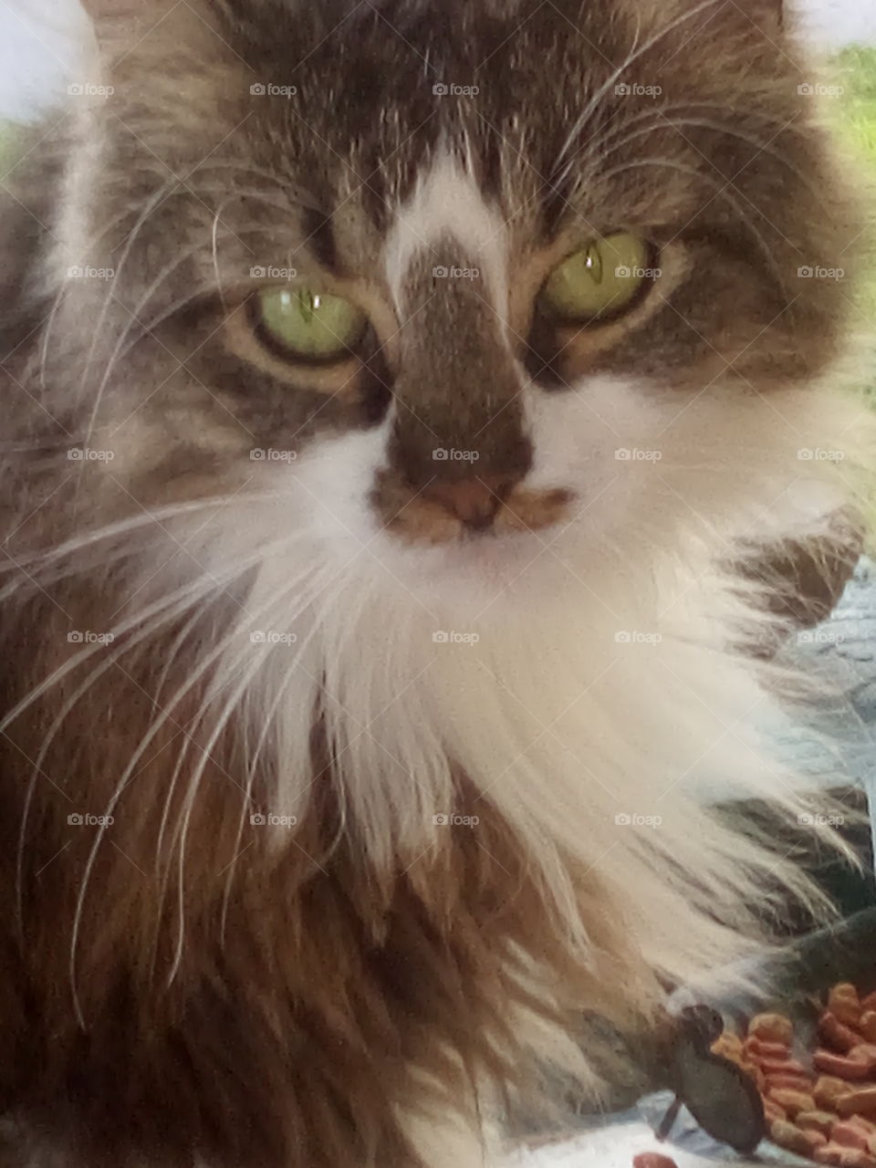 well hello there I'm here to wish everyone an awesome and safe weekend, have fun!