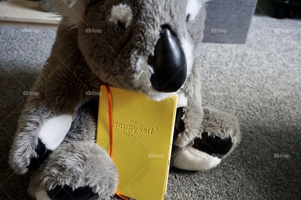 Daddy Koaka Bear holding Happyself Diary