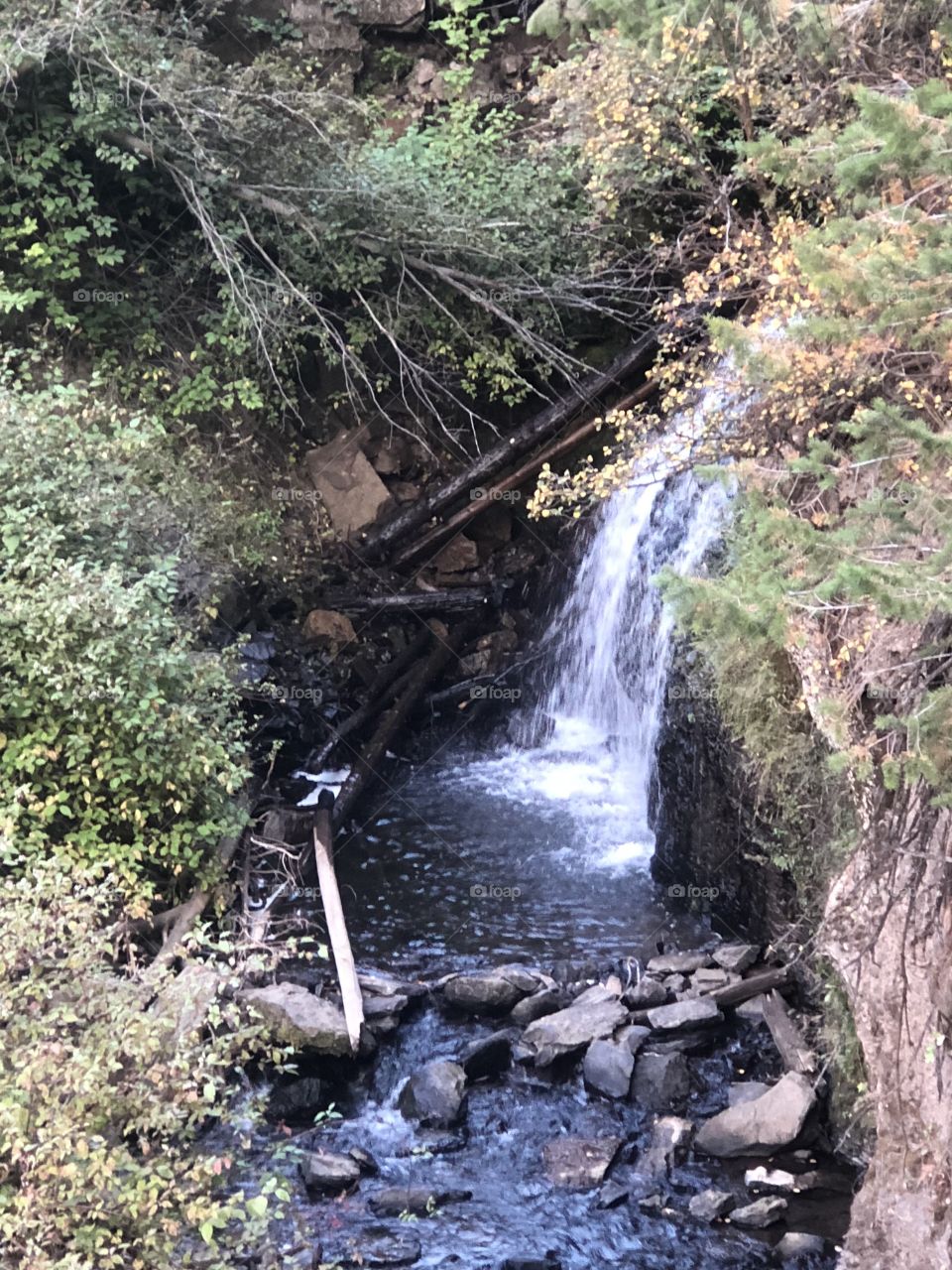 Webster Waterfall