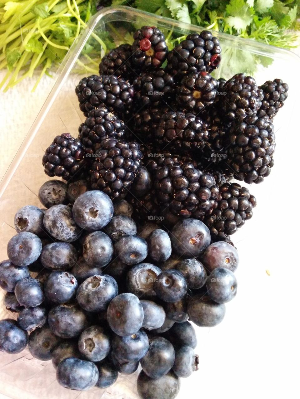 blue & black berries