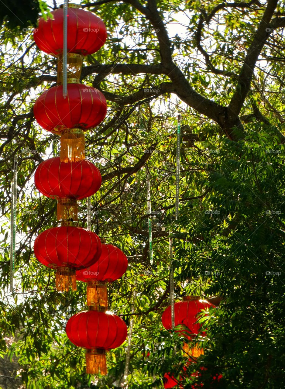 Red Chinese Lanterns
