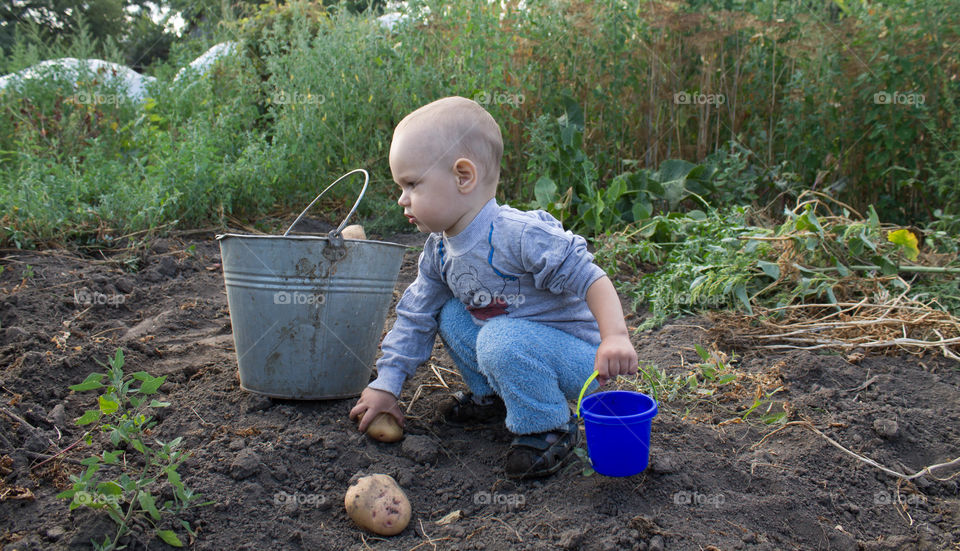 Child, Baby, Bucket, Little, Shovel