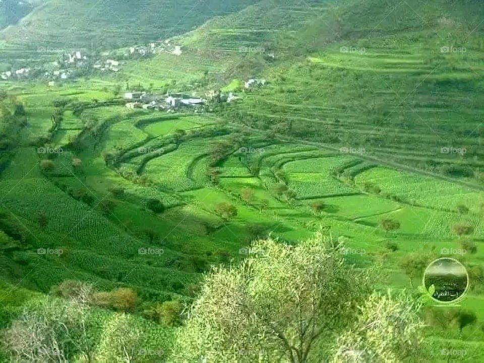A stunning view of green mountains covered in fog in Yemen