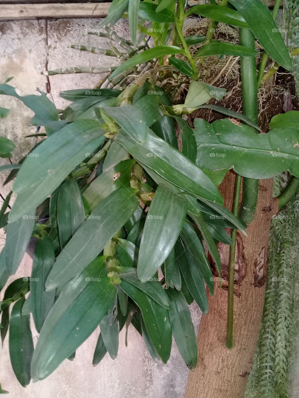 Nature itself shows its beauty and its performances before the eyes of human beings