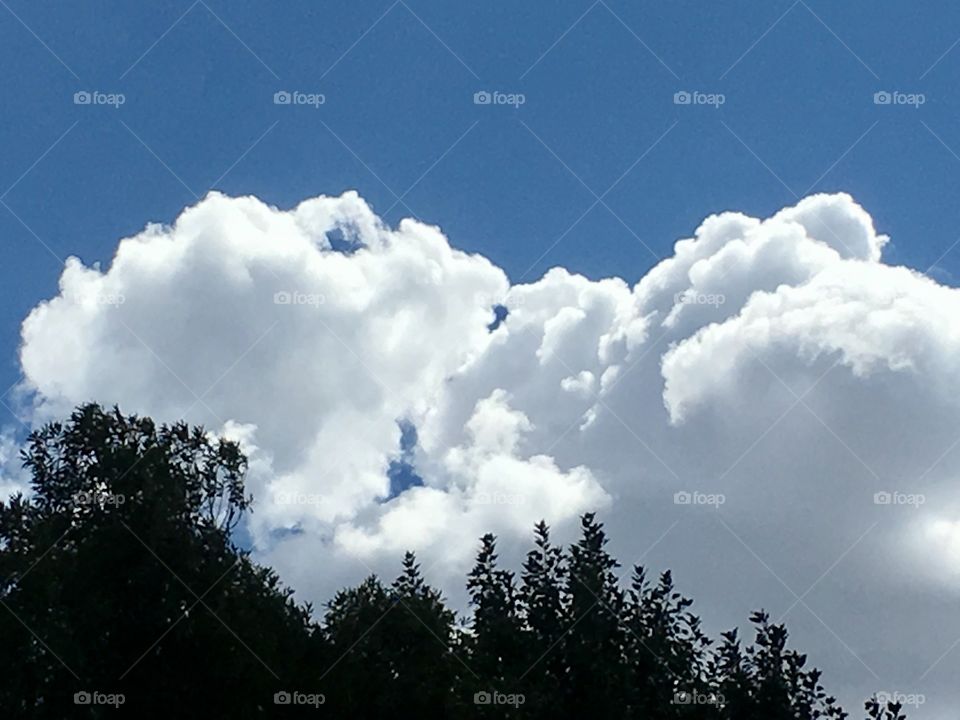 Billowy White Clouds