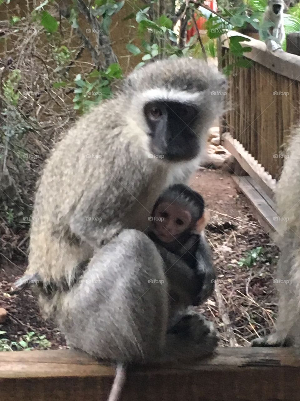 Mother and son