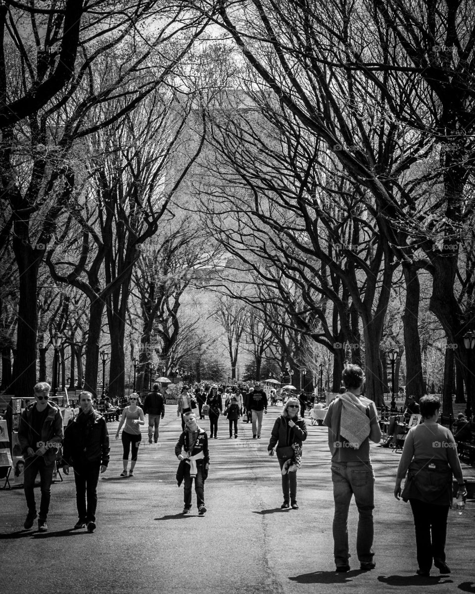 The mall, Central Park 