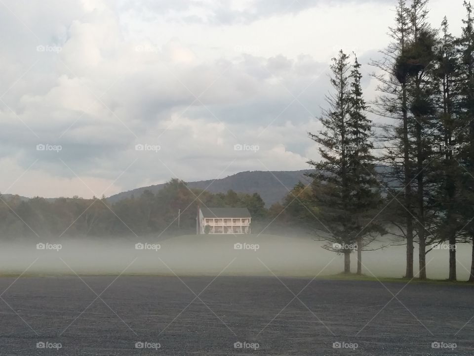 Fog over field