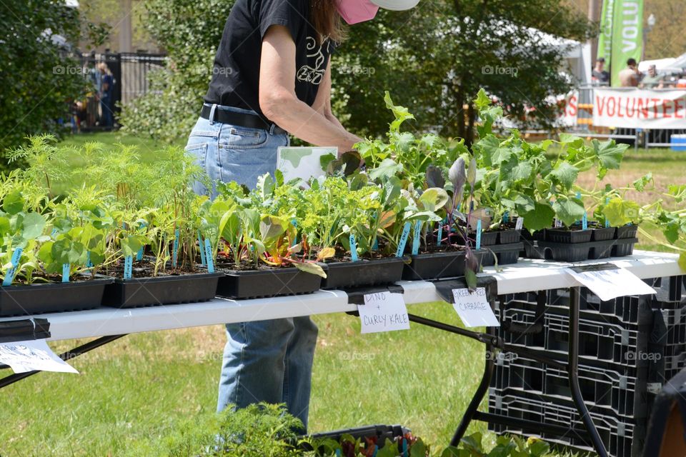 Plant sale at Earth Day event
