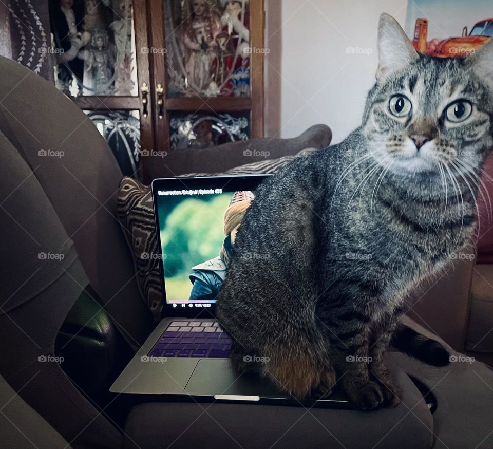 No Laptop Today , Let’s Play 