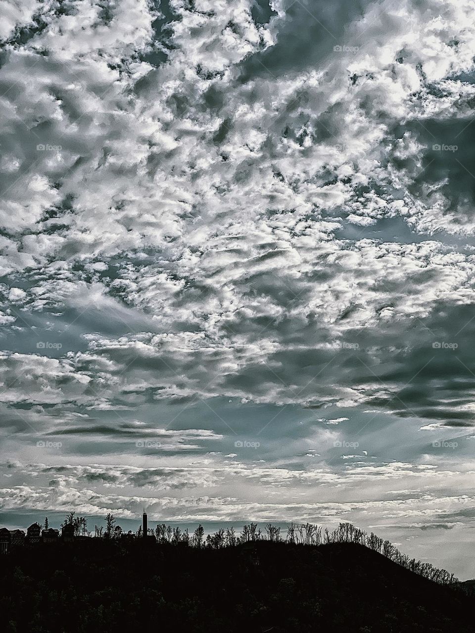 Skyline in the country, Tennessee sky, clouds in the sky, outline of the forest against a backdrop of clouds, beauty in nature, scene from the wilderness 