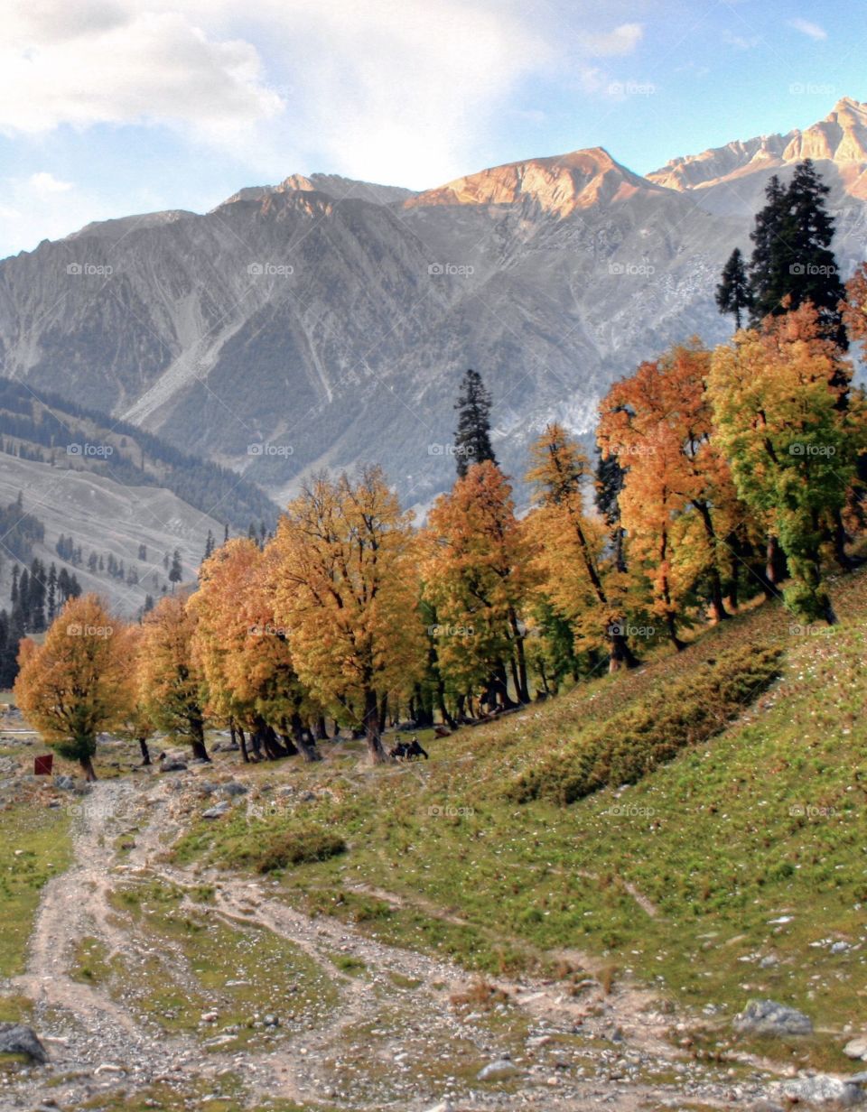 Kashmir valley India 