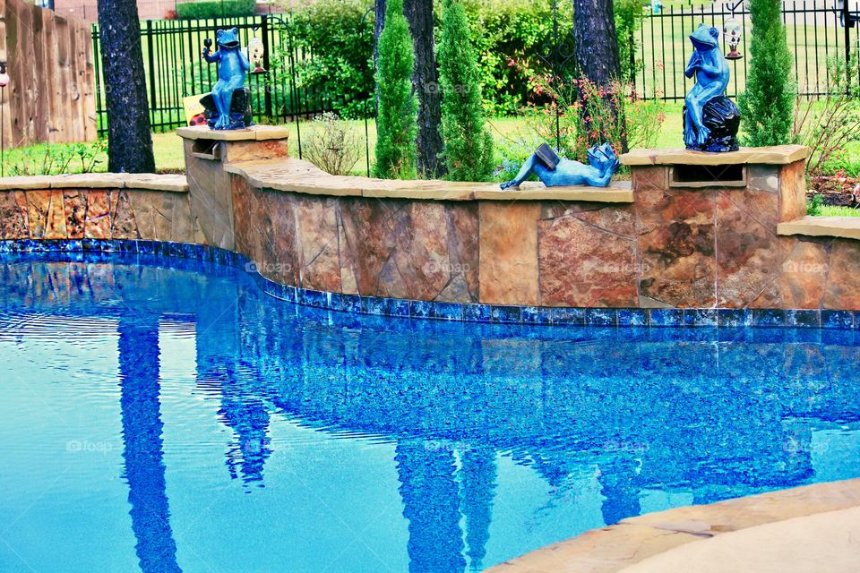 Springtime reflection.