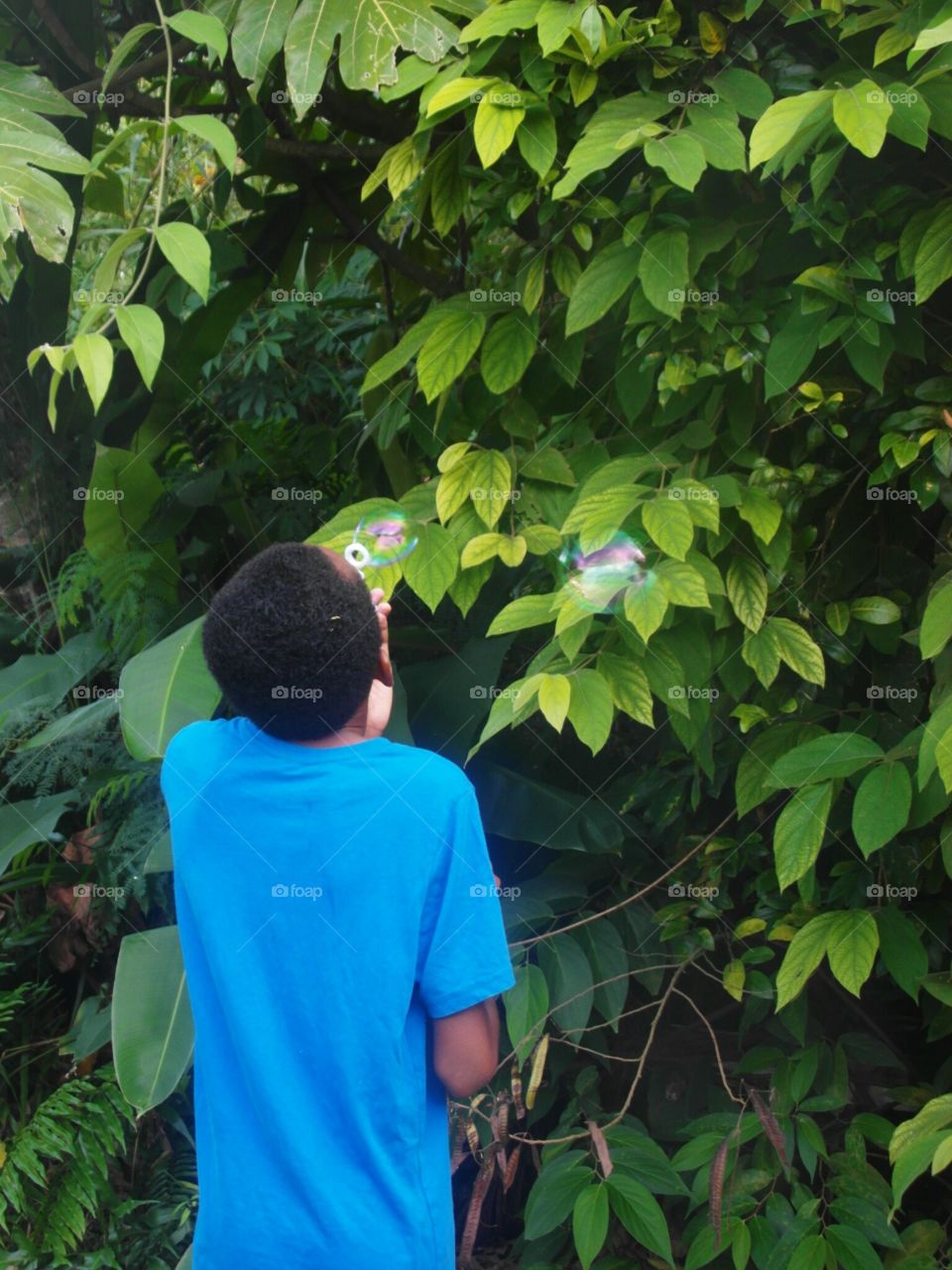 Leaf, People, Outdoors, Tree, One