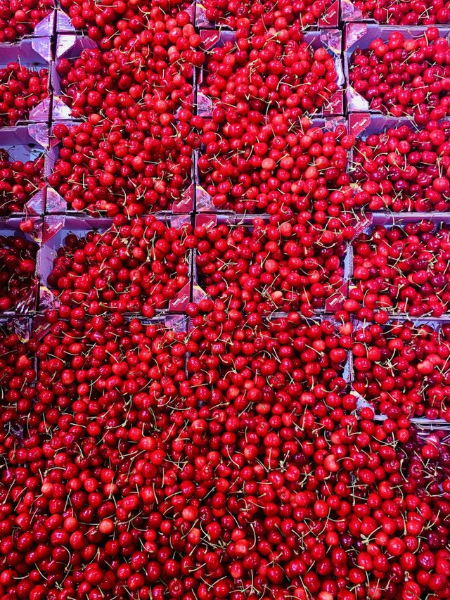 Red shiny freshly harvested cherries in boxes seen from above, red fruit, spring fruit, fruit market stand 