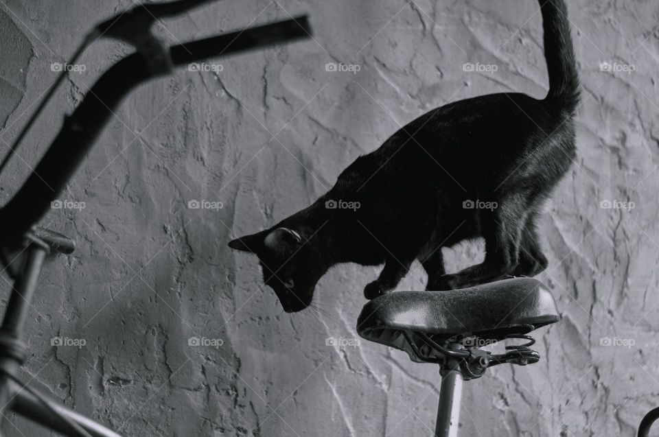 The desperation of not arriving