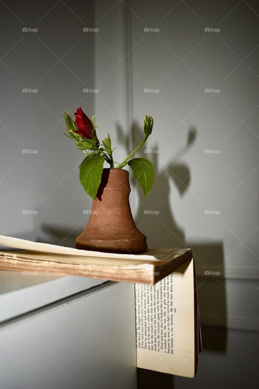 Vase on the corner. White on white . Walls and desk . A beautiful shadow! Read me ! Vase on the book 