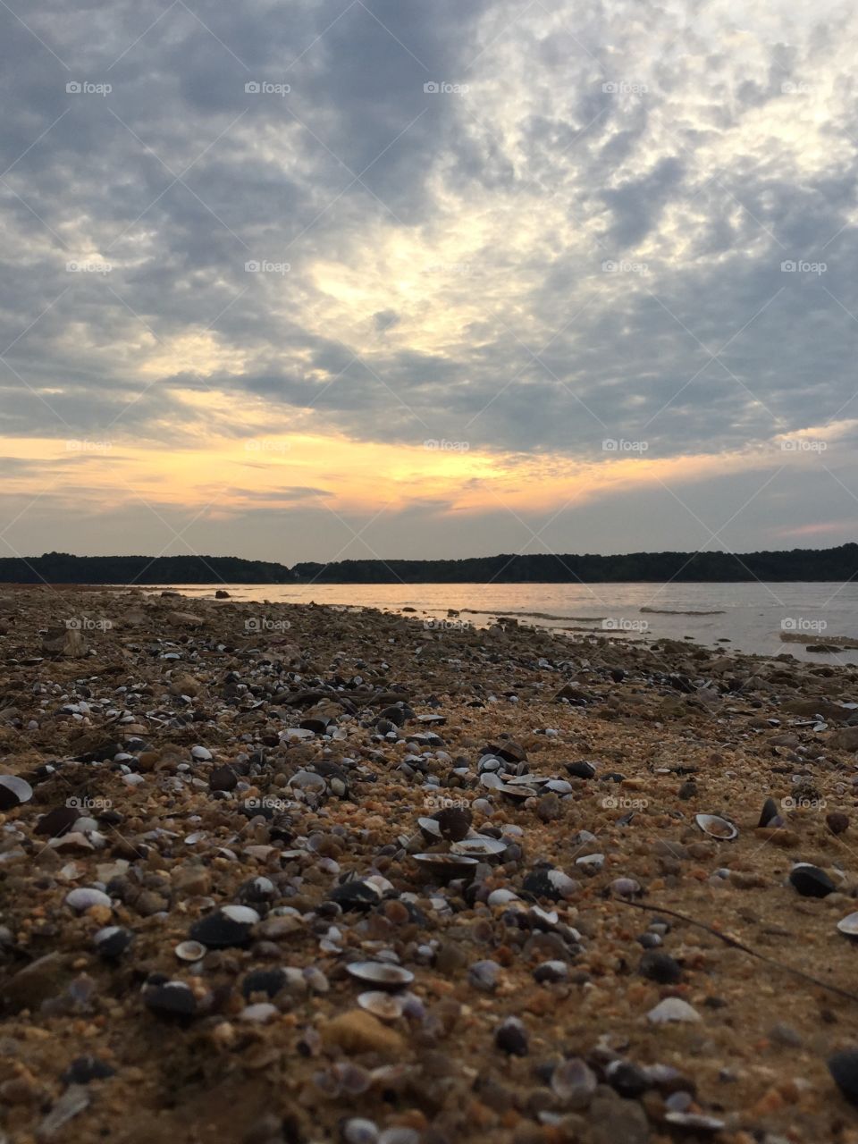 Scenic view of beach during sunset