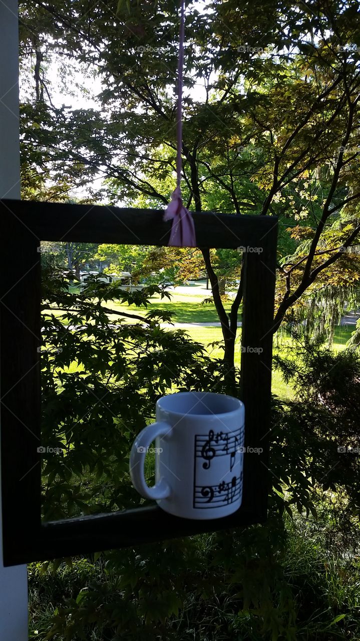 coffee for the birds . my homemade bird feeder 