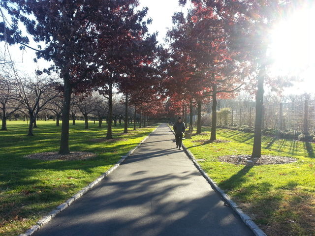 Lonely trail