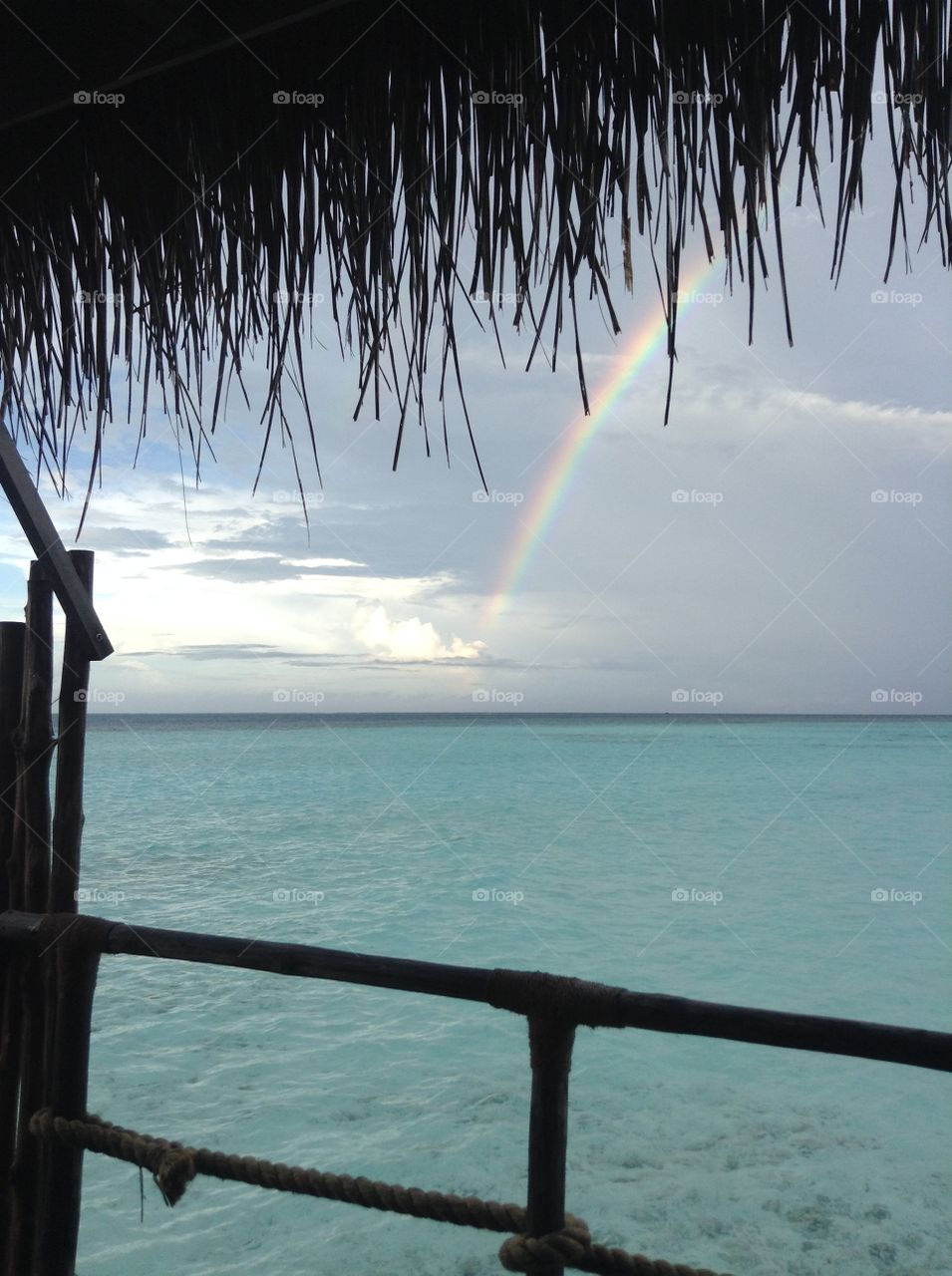 Emerging from the storm