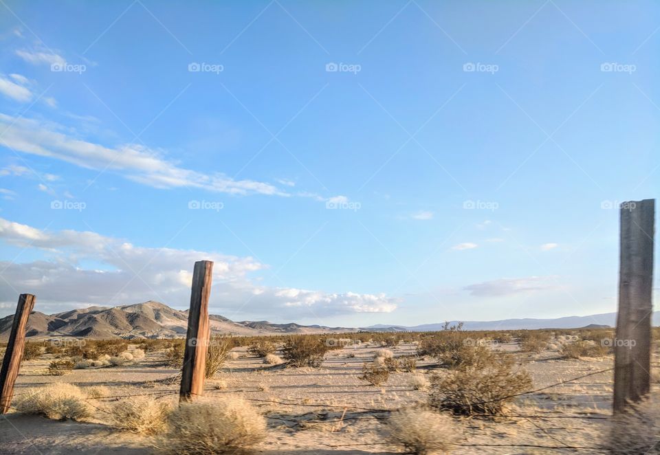 Mojave Desert