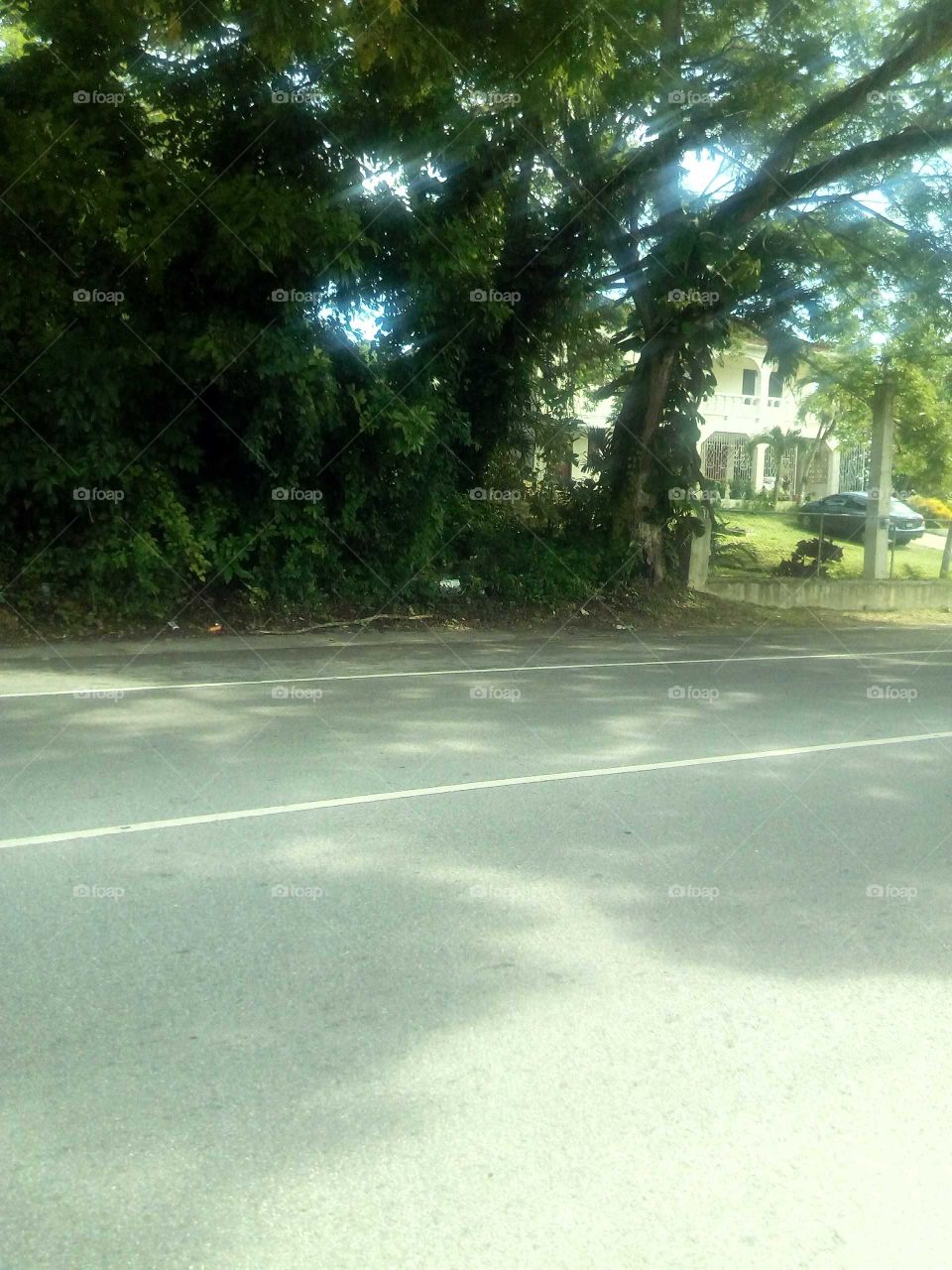 when you take a closer look at the this picture you will see the sun light shine in