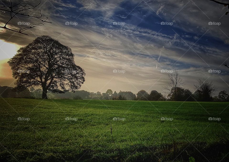 Morning sky with clouds